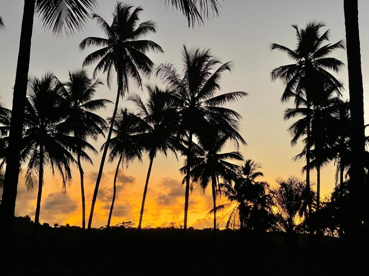 Pousada Horizonte Azul Velha Boipeba Екстер'єр фото