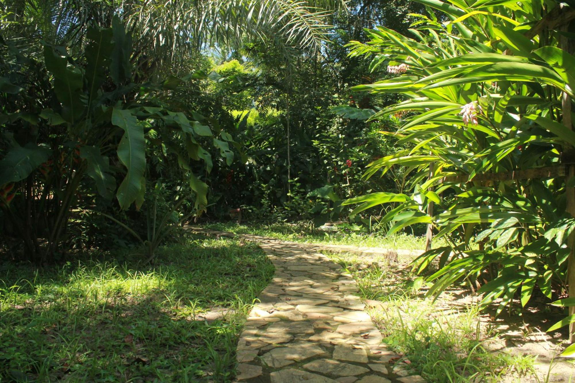 Pousada Horizonte Azul Velha Boipeba Екстер'єр фото
